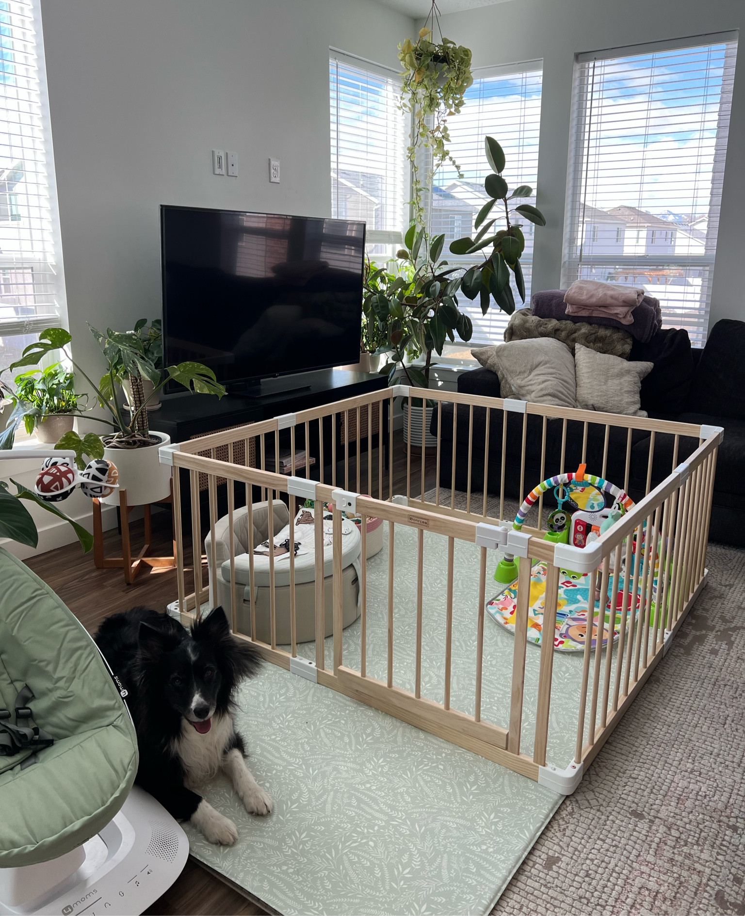How I’m keeping my baby safe from plants & dogs 

#LTKbaby #LTKhome