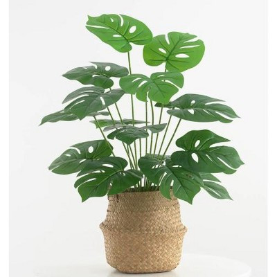 2 Pack Artificial Monstera Plant, 44 Inches, Plastic, Green, Black Pot & Woven Basket, Faux Indoor Plants for Living Room Office Home Decor | Target