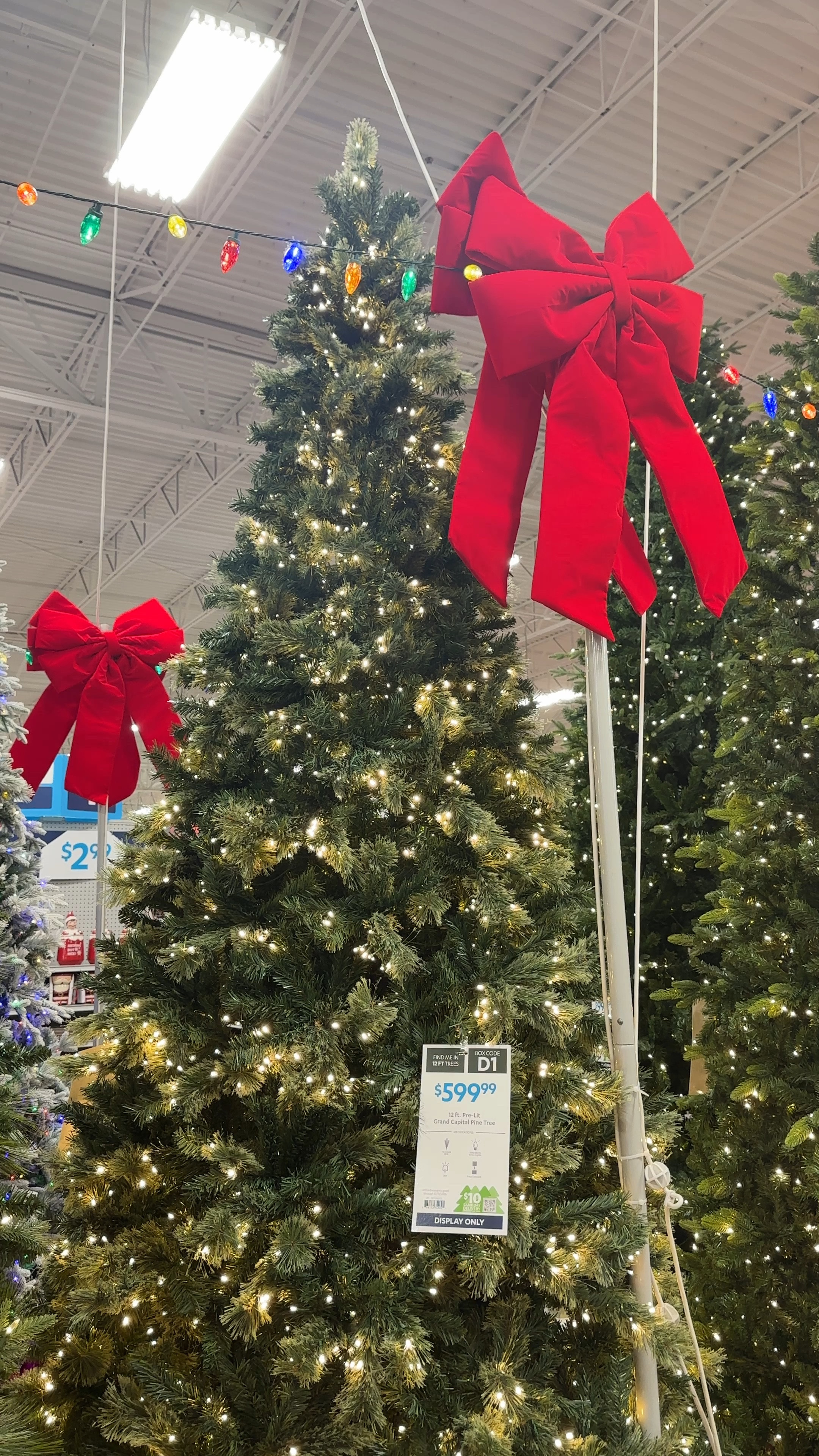 The 12ft Grand Capital Pine Tree from At Home is gorgeous! I think she’s the one! #christmastree #12ftchristmastree

#LTKSeasonal