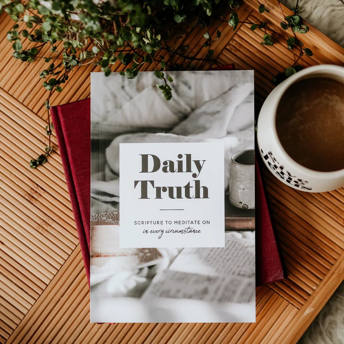 Daily Truth | The Daily Grace Co.