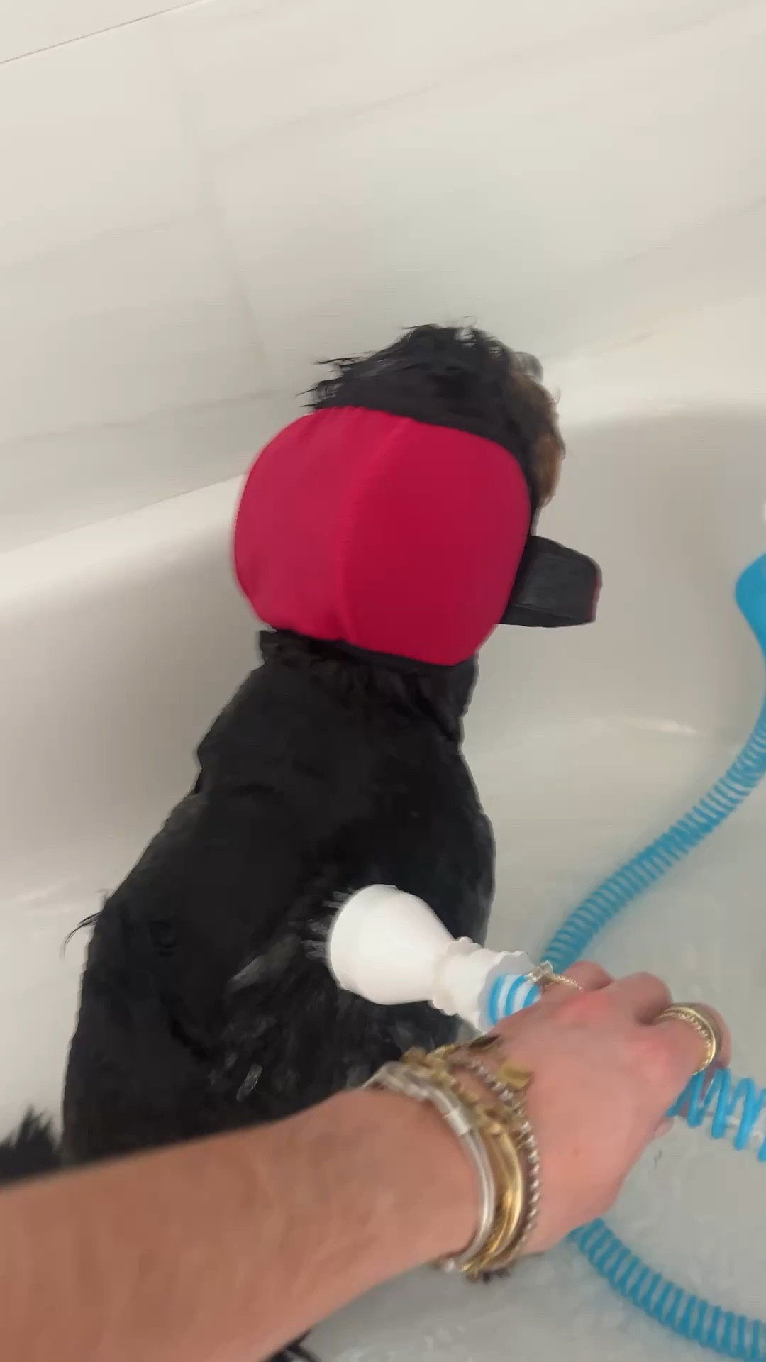 Rinseroo: Slip-On Tub Hose – As Seen on Shark Tank – 5ft Flex Bathtub Faucet Sprayer – Easy Rinse for Pets, Hair & Cleaning – No Installation Needed – Fits Faucets Up to 3” Wide – Mess-Free & Portable

#LTKHome #LTKTravel #LTKmomlife