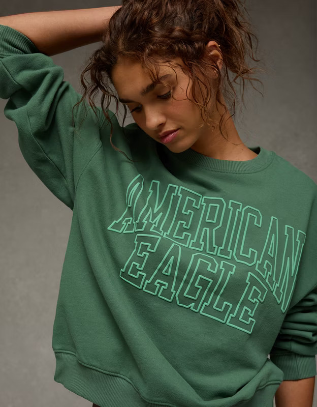 AE Funday Crew Neck Sweatshirt | American Eagle Outfitters (US & CA)