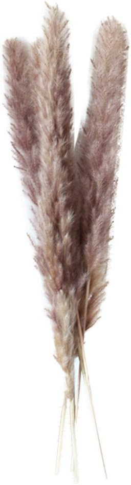 TELLW 1 bunch/5pcs Exclusive Original Ecological Dried Flowers hay Reed Fox Tail Grass Grains Pho... | Amazon (US)