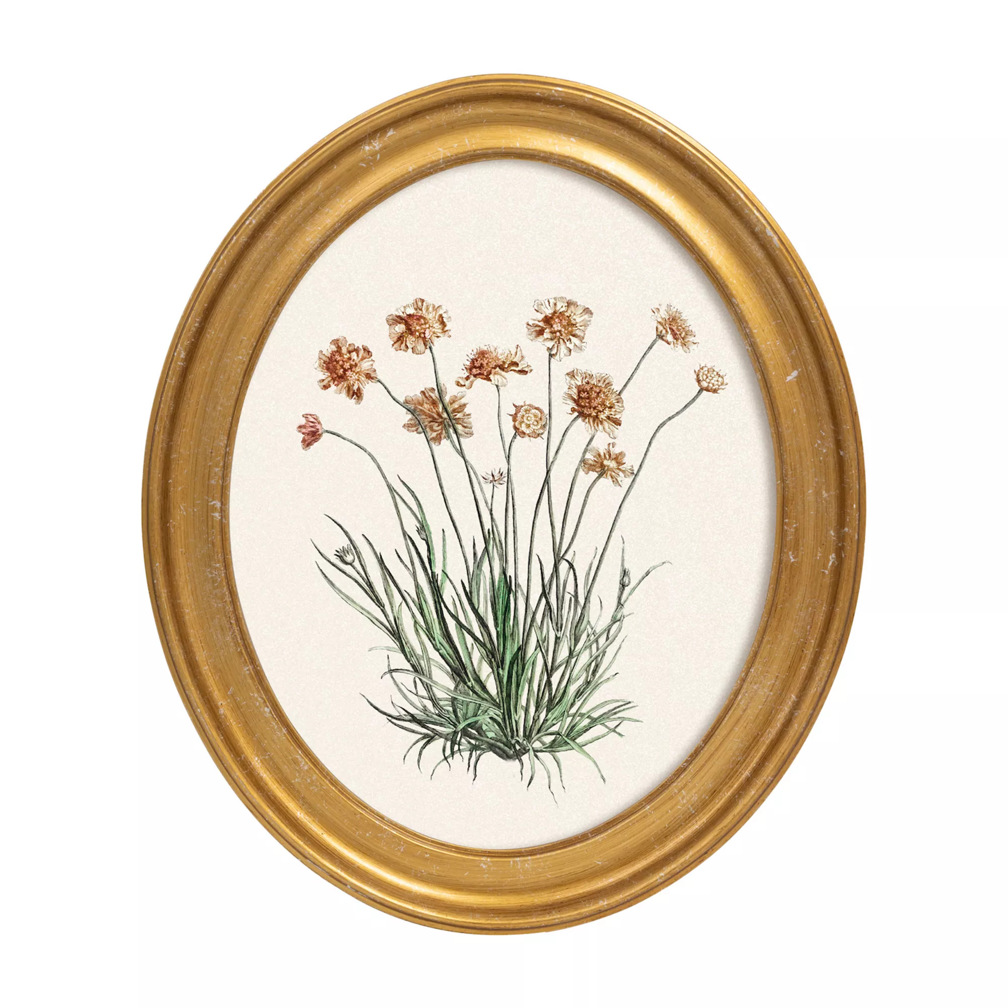 Belle Maison 10" x 12" Oval Floral Wall Art Under Glass | Kohl's