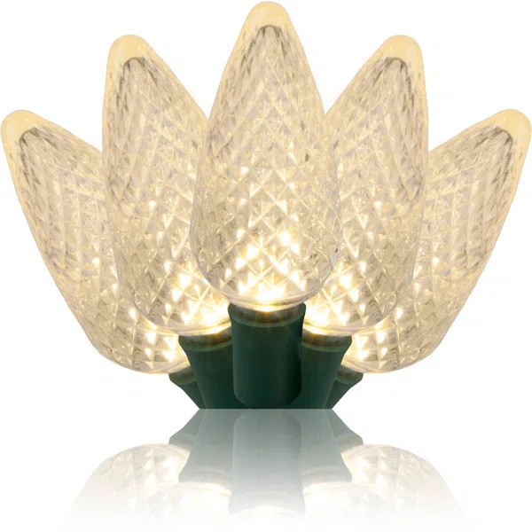 25 Light C9 LED Christmas String Light | Wayfair North America