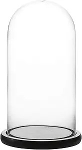 WHOLE HOUSEWARES | Decorative Clear Glass Dome/Tabletop Centerpiece | Cloche Bell Jar Display Ca... | Amazon (US)