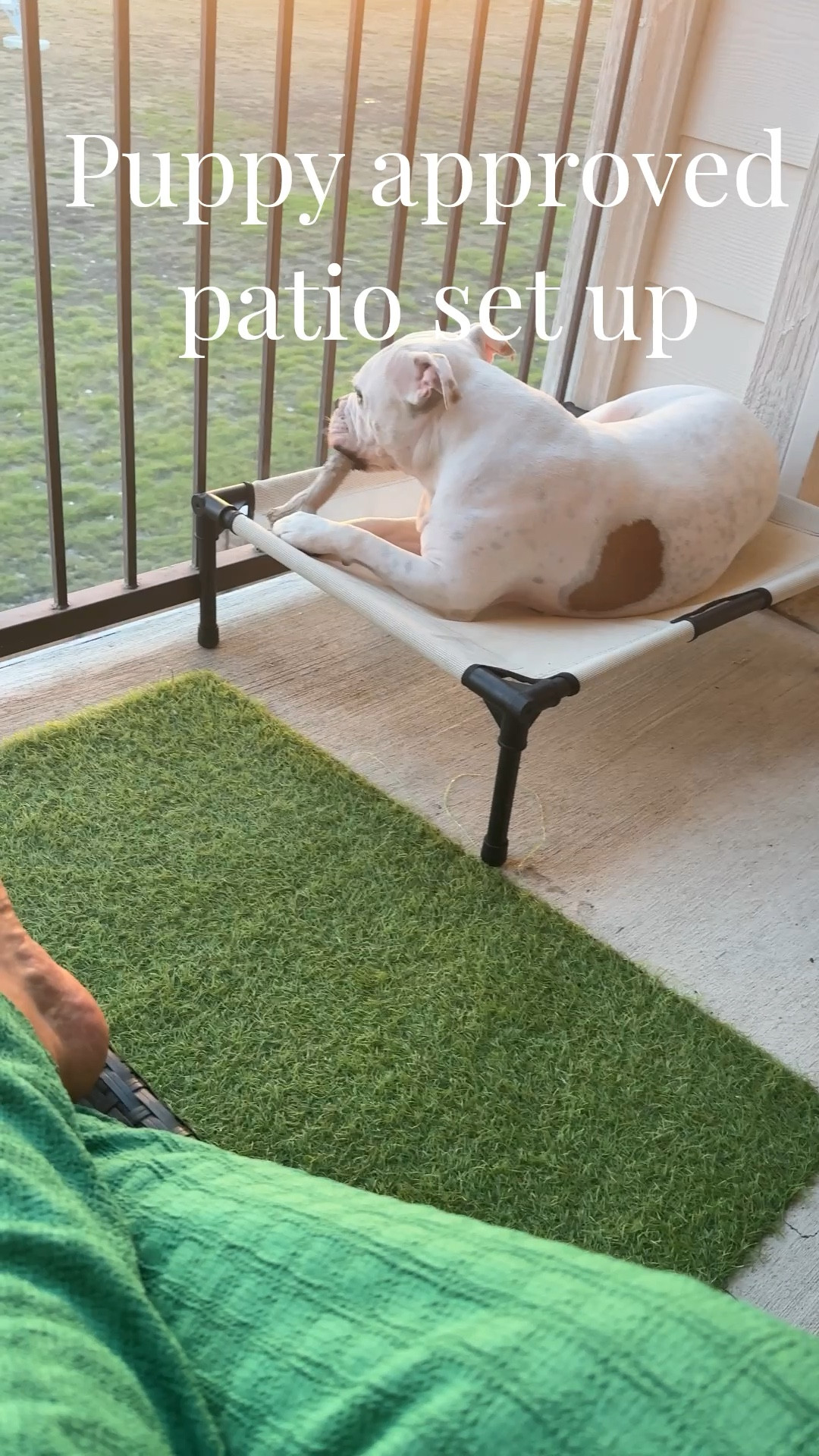 Enjoy watching sunsets on your patio with your puppy when you have a great artificial grass rug that is washable. And your puppy can enjoy a chew on their elevated lounger that dries up very quickly.

#LTKHome #LTKdayinmylife #LTKOver40