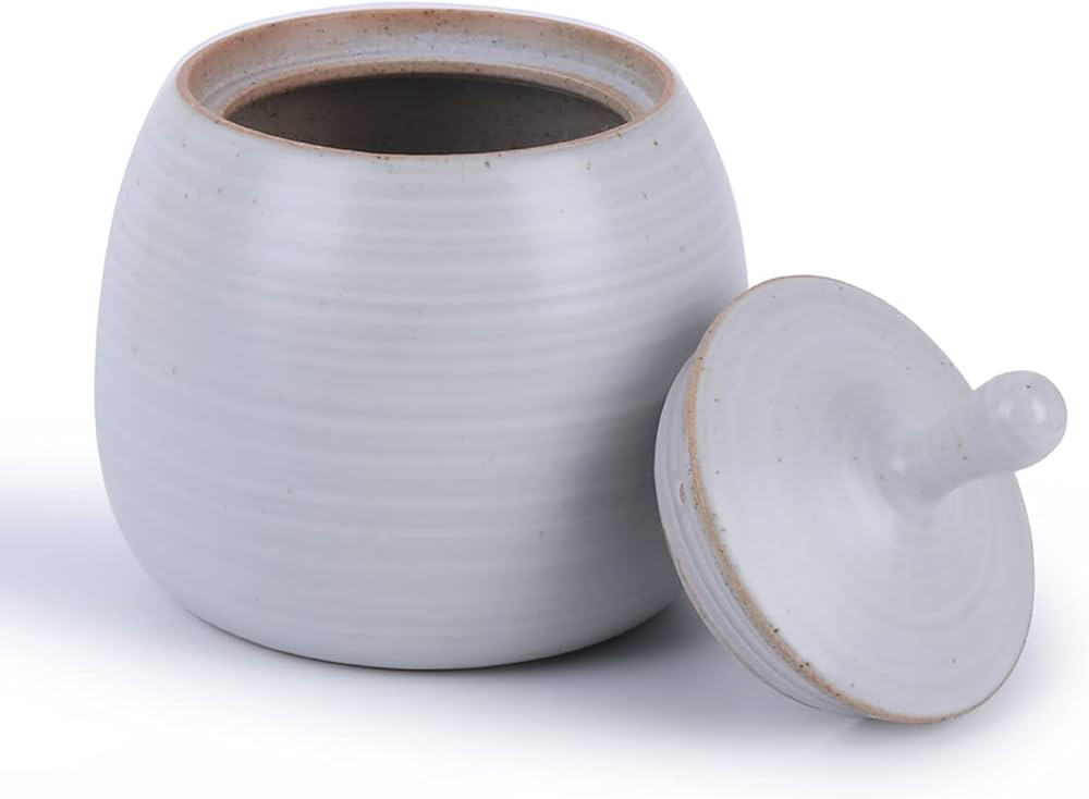 Kitchen Canisters Vintage Ceramic Food Storage Jar with Airtight Lid for Tea, Coffee, Herb, Sugar... | Amazon (US)