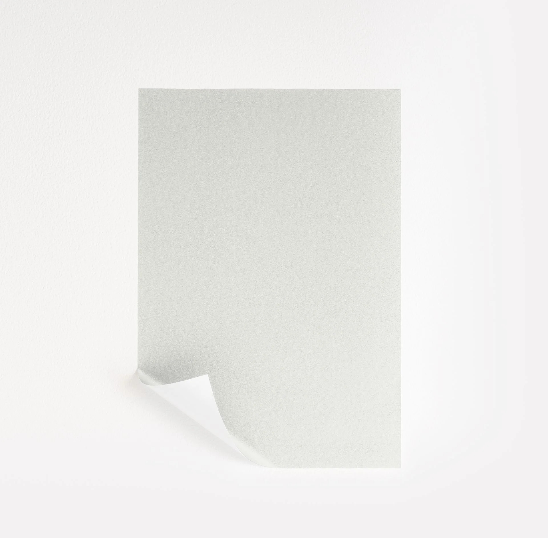 Super White Paint Sample by Benjamin Moore (OC-152) | Peel & Stick Paint Sample | Samplize