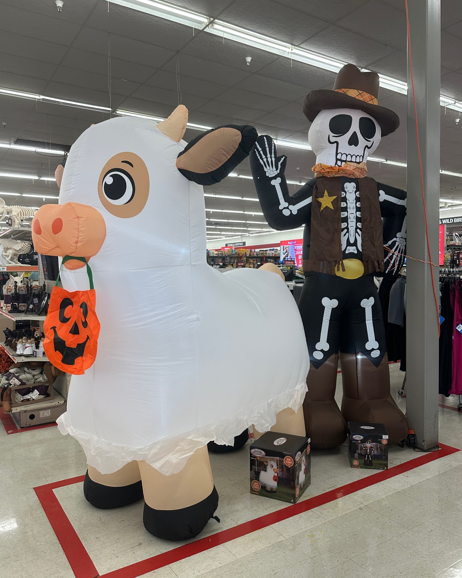 Okay but these Halloween blow-ups are seriously SO CUTE! The cow with the little pumpkin bucket?! 😂

Such a fun way to make the yard festive for Halloween. 

Linking these cuties here!

#LTKFinds #LTKHome #HalloweenDecor #HalloweenFinds #FallFinds

#LTKdayinmylife #LTKSeasonal #LTKHome