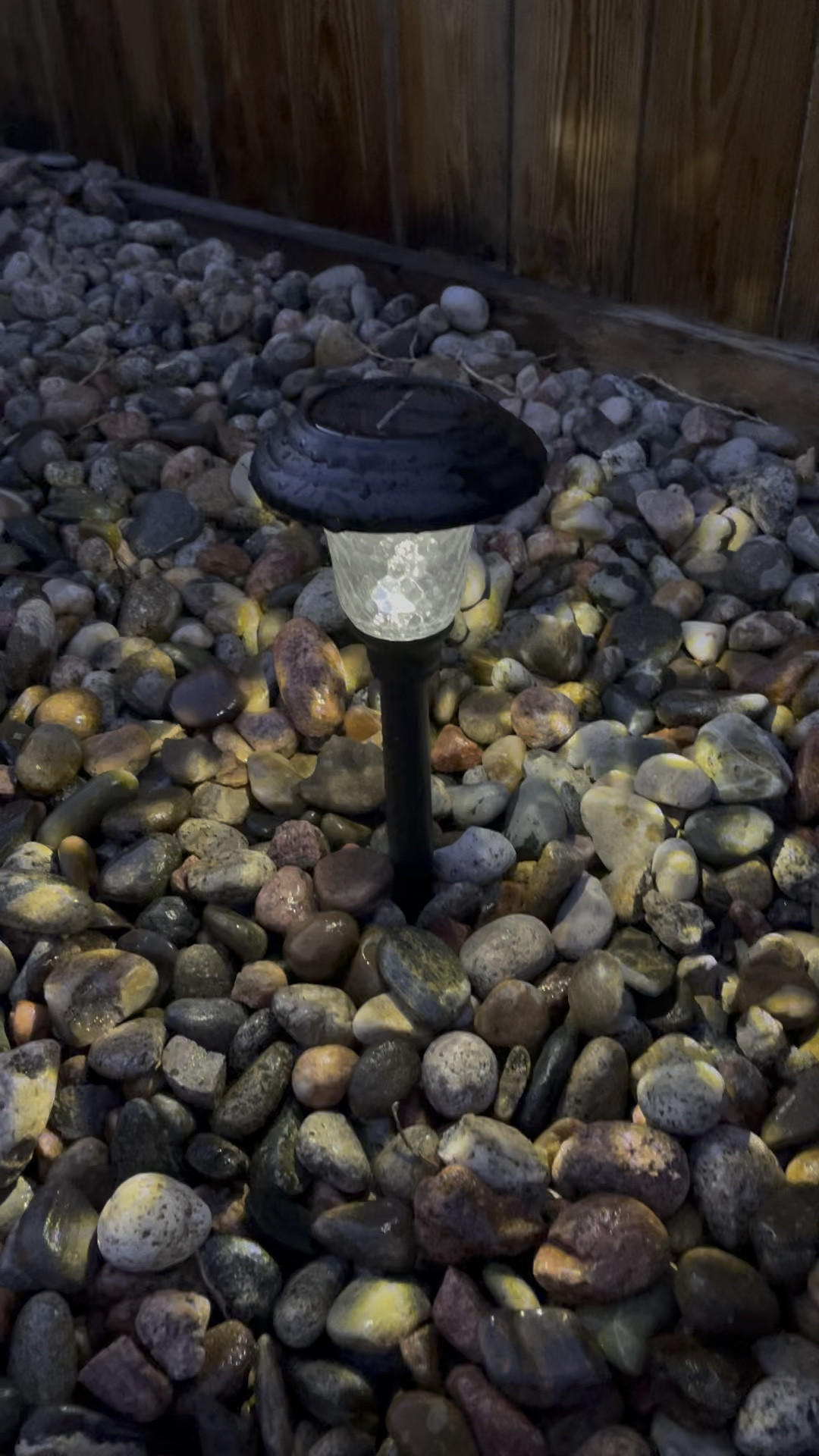 Solar backyard lights 💡

** Don’t forget to ❤️ any items you like so you get notified when there’s a price drop! 

📱➡️ simplylauradee.com

#LTKhome #LTKfamily #LTKfindsunder50