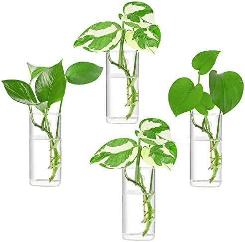 Ivolador Wall Hanging Glass Propagation Plant Terrarium Container Rectangle Shape Perfect for Propag | Amazon (US)
