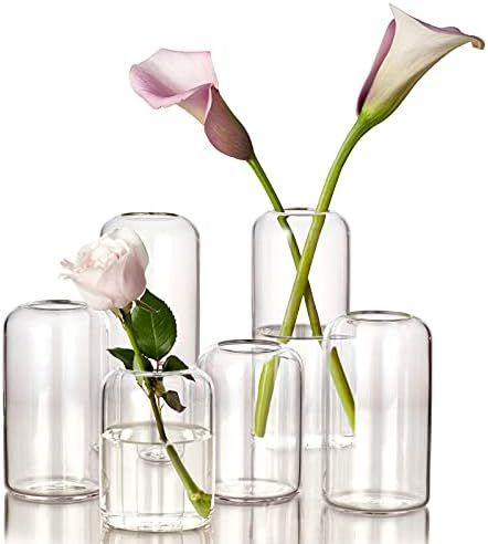 ZENS Bud Vases Glass Set, Clear Small Serene Spaces Living Vase Set of 6 for Centerpieces Home Decor | Amazon (US)