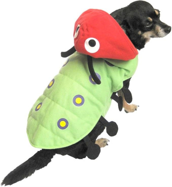 Caterpillar Dog Costume Green Bug Pet Outfit XX-Small | Amazon (US)