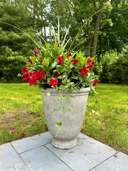 Lightweight resin cement-style planter under $20. Patio & garden. 

#LTKSeasonal #LTKFindsUnder50 #LTKHome
