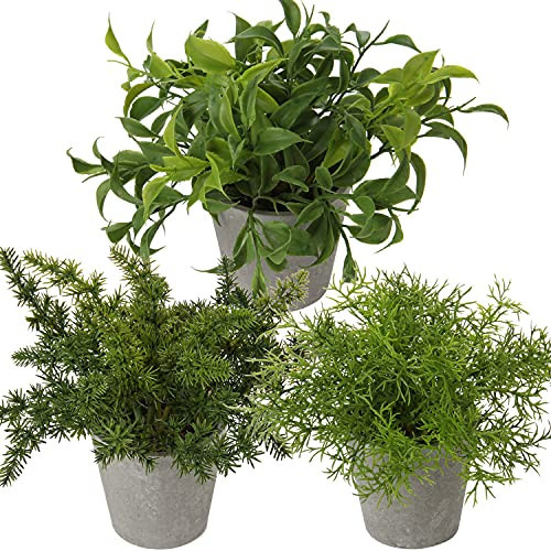 Briful 3PCS Fake Plants Potted Artificial Plants Greenery Faux Fern Eucalyptus Décor Plant for Indoor Home Office Bathroom Harmhouse Decoration | Amazon (US)