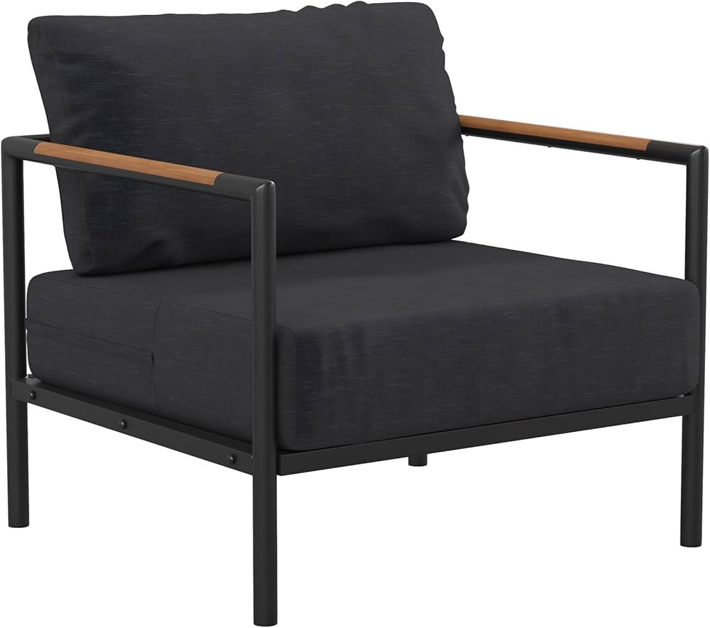 Flash Furniture Lea Indoor/Outdoor Patio Chair with Cushions - Modern Aluminum Framed Chair with ... | Amazon (US)