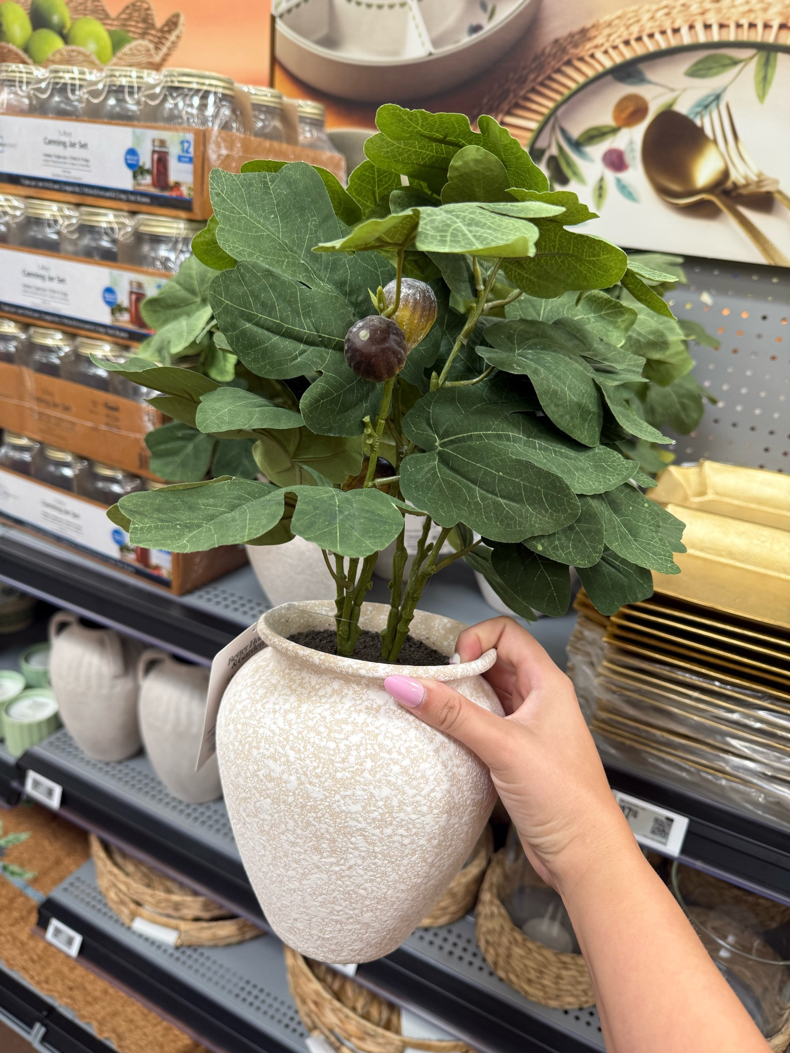 Faux fig plant

Walmart home decor artificial plants home decor

#LTKmomlife #LTKSeasonal #LTKHome