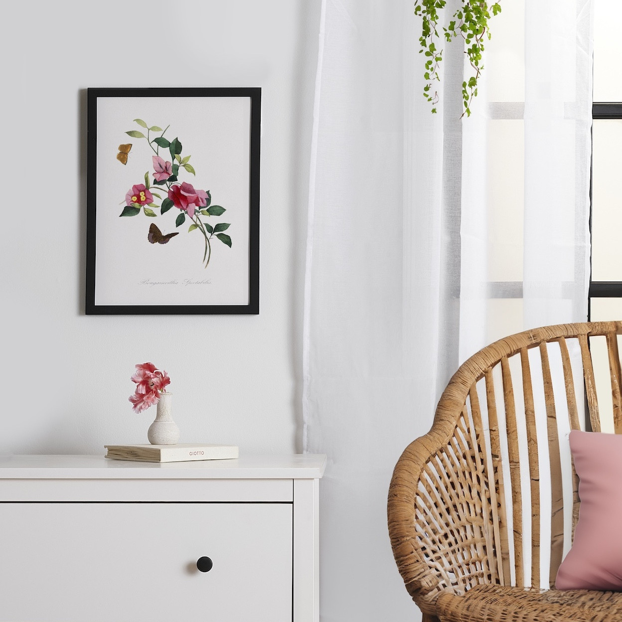 Bougainvillea by Paul Gervais Framed Poster | Society6