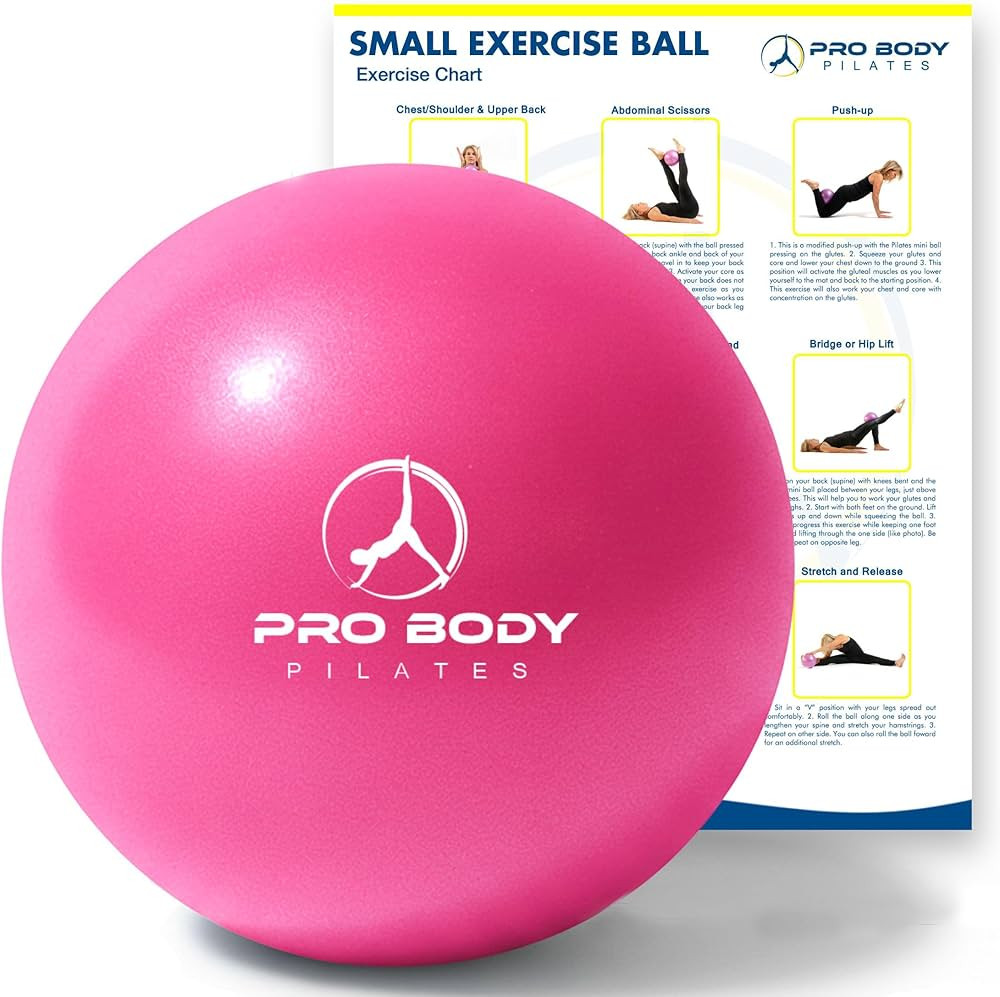 ProBody Pilates Small Exercise Ball - 9 Inch Workout Ball for Stability, Barre, Yoga, Core & Phys... | Amazon (US)