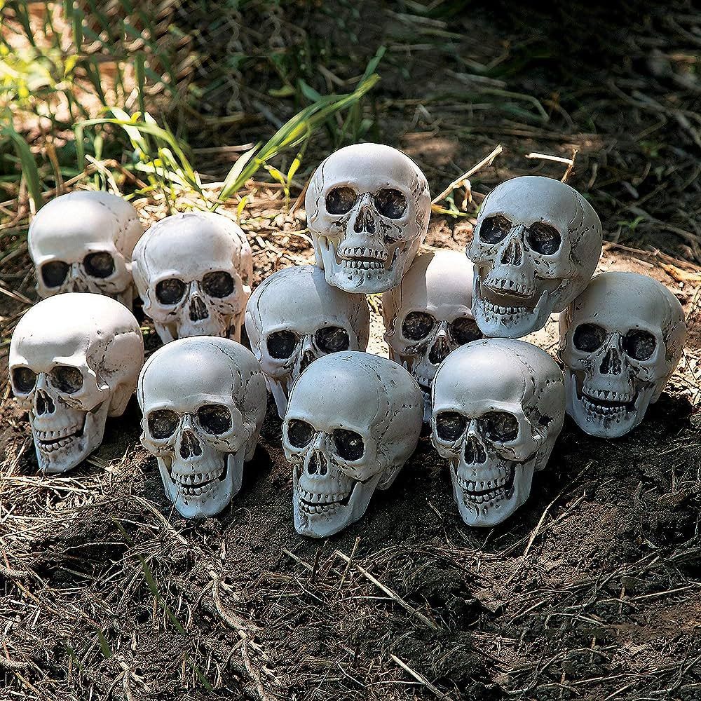 Bag of Realistic Bulk Skeleton Skulls (12 Pack) 5 Inch Human Skulls Halloween Decorations, Bar an... | Amazon (US)
