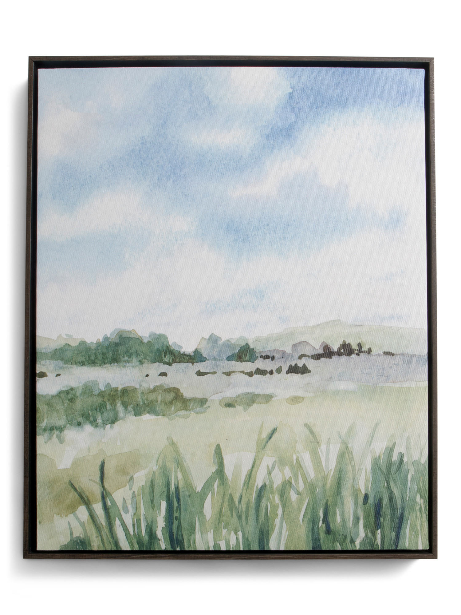 16x20 Stretched Canvas Painting With Classic Frame | TJ Maxx