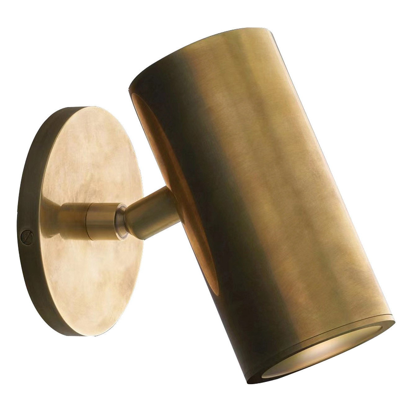 Nakuru Brass Wall Spotlight | Temple & Webster AU