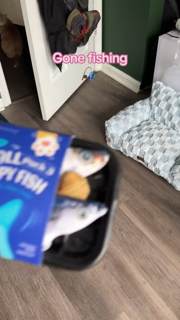 Their fave interactive cat toy 

 #LTKdayinmylife #LTKmorningroutine #LTKHome