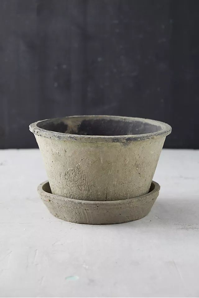 Earth Fired Clay Thin Rim Pot + Saucer Set | Anthropologie (US)