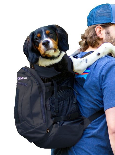 K9 Sport Sack Plus 2 Forward Facing Dog Carrier Backpack | Chewy.com