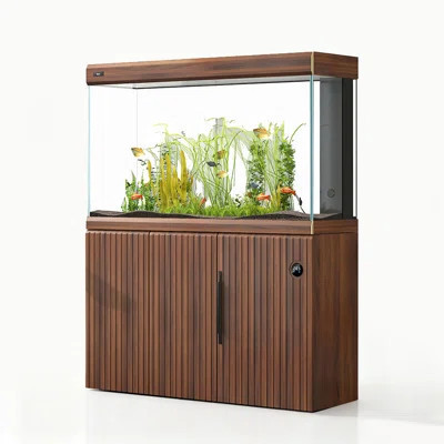 Minimalist Glass Ecological Aquarium Tank | Wayfair North America