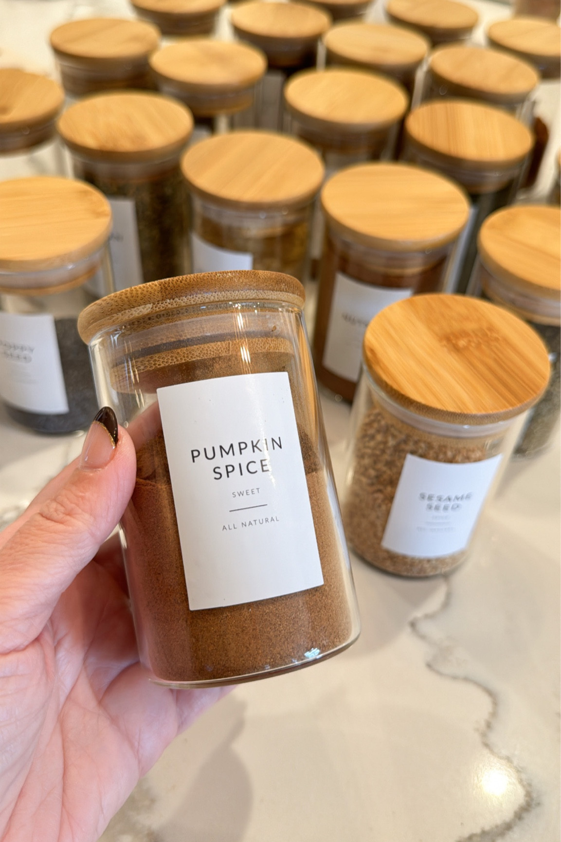 Spice storage containers + labels I used // Amazon, kitchen // 

#LTKxPrime #LTKhome #LTKfindsunder50