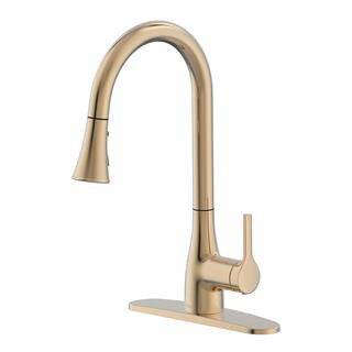 Classic Series Single-Handle Pull-Down Sprayer Kitchen Faucet in Champagne Gold | The Home Depot