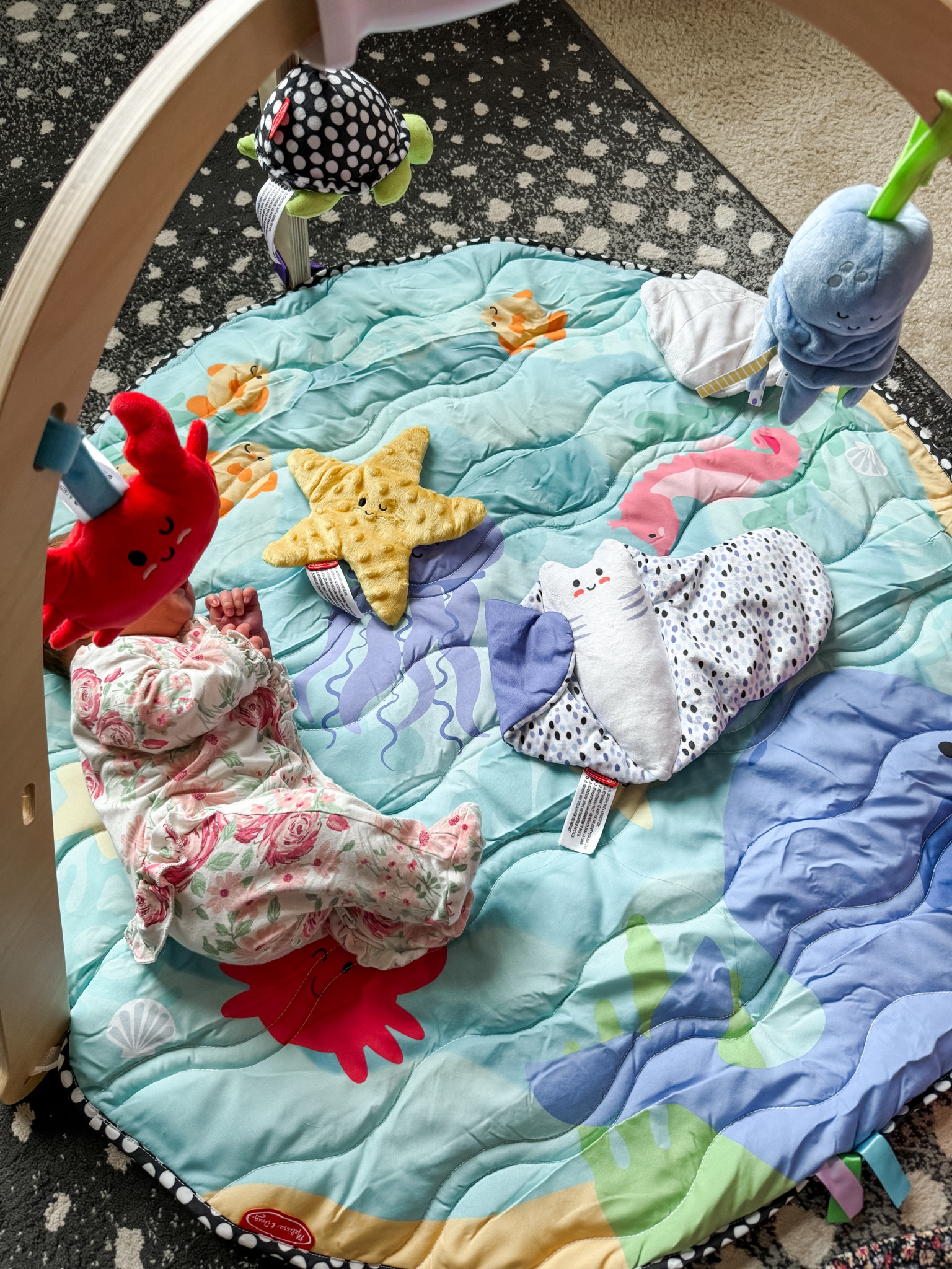 Wave hello to endless ocean adventures with the Melissa & Doug Ocean Easy-Fold Play Gym! 🌊 Designed to grow with your little one from birth to 9 months, this marine-themed activity gym offers Play for Every Stage™. With 5 easy-to-clean toys, a reversible play mat, and a Quick-Close Button™ for easy fold-up, enriching baby’s playtime has never been easier! #MelissaAndDoug #PlaytimeEssentials #BabyGear #NewMomMustHaves #LTKfamily #LTKbaby #PlayForEveryStage 

#LTKFindsUnder100 #LTKFamily #LTKBaby