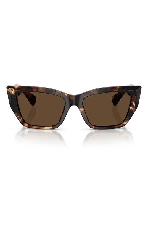 Tiffany & Co. 54mm Cat Eye Sunglasses in Brown at Nordstrom | Nordstrom