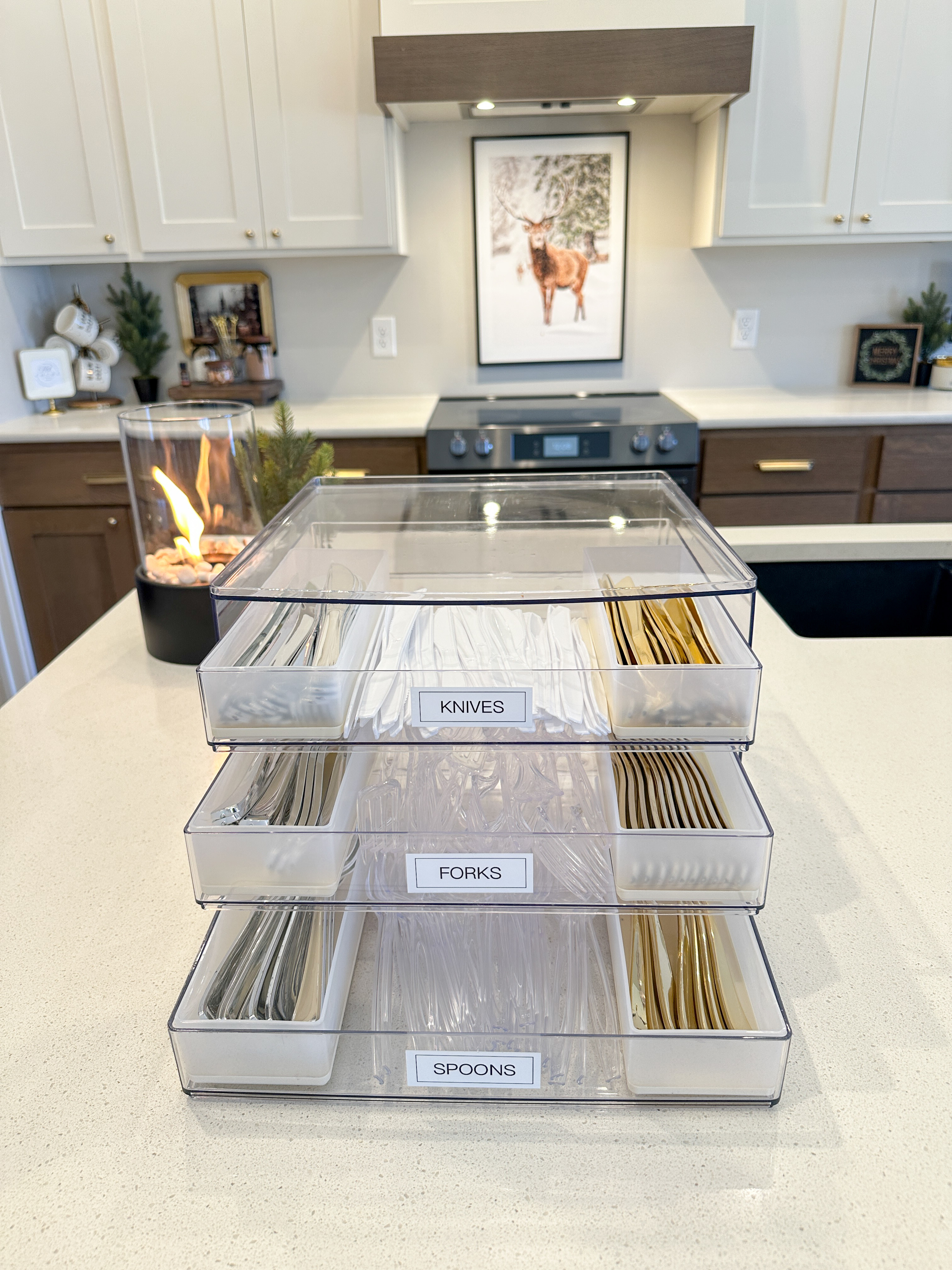This is a fantastic way to organize all of your paper products that you have stored around your house! #homeorganizationtips #organizationideas #organizationtips #pantryorganization #fridgeorganization #declutteryourlife #declutteryourhome #decluttering #targetstyle #targetfino
#LTKVideo #LTKhome

#LTKHome