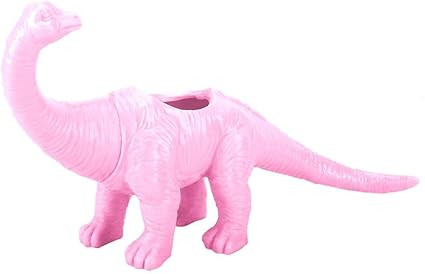 Dinosaur Pattern er Pot Cactus Succulent Plant Pot Decorative Plant Containers Home Office Deskto... | Amazon (US)