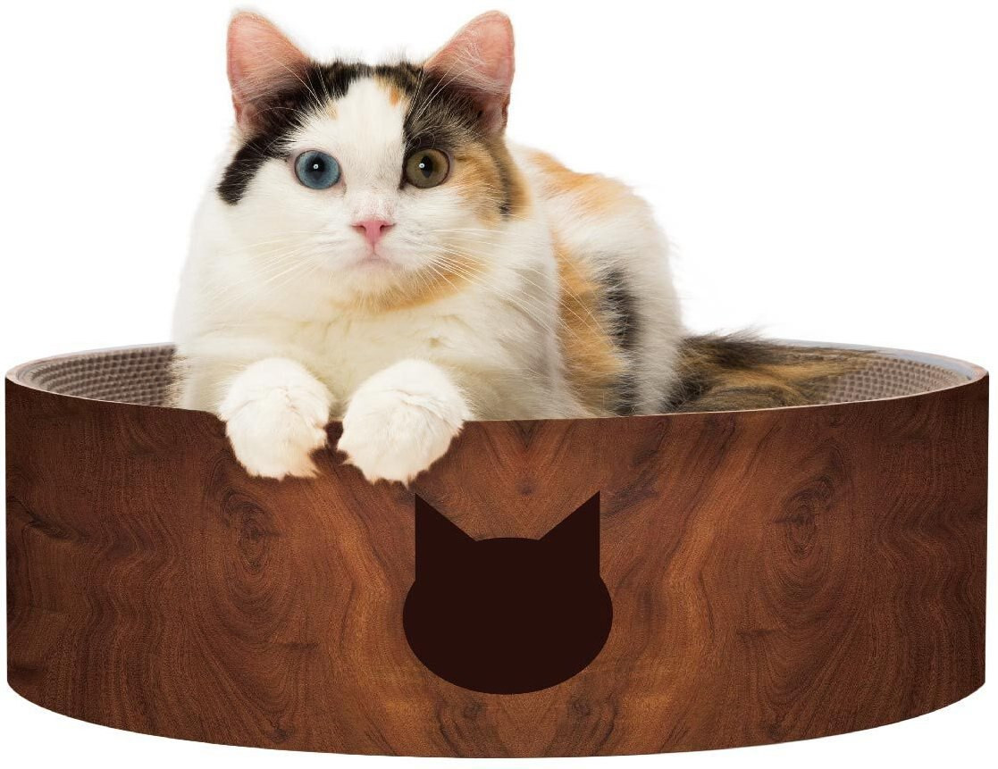 Necoichi Cozy Cat Scratcher Bowl Toy | Chewy.com