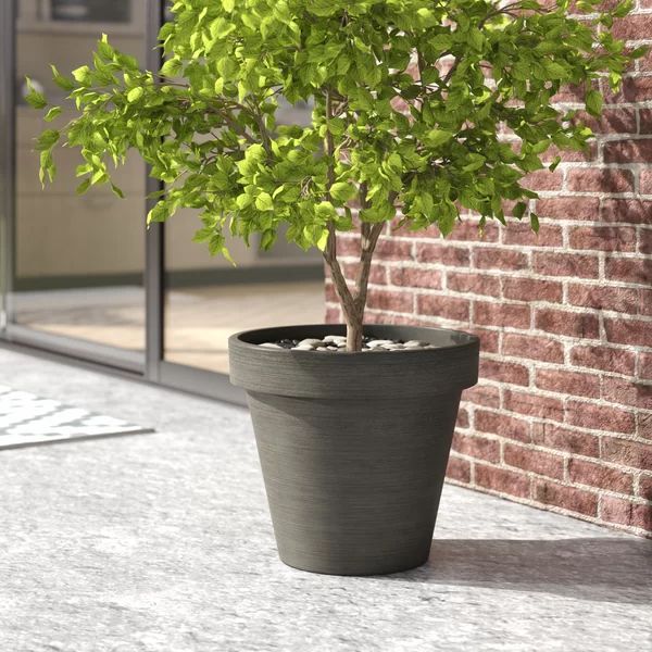 Cara Composite Pot Planter | Wayfair North America