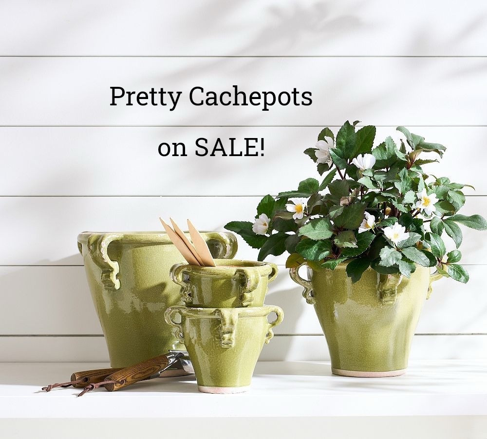 Pretty green colored cachepots on sale for spring flower, floral plants on sale at Pottery Barn. 

#LTKHome #LTKSaleAlert