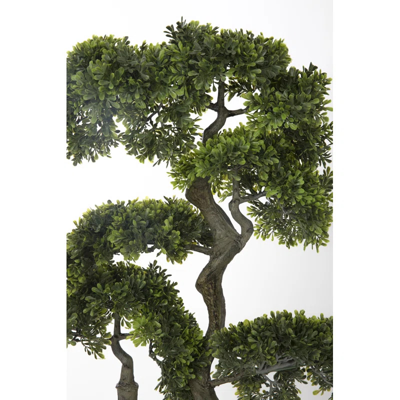 55.9'' Faux Bonsai Plant in Planter | Wayfair North America