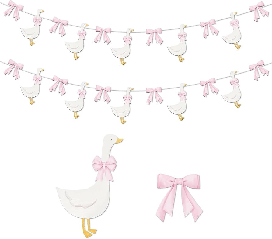 TaoBary 2 Set One Silly Goose Birthday Banner with Bow Silly Goose Party Decoration for Farm Anim... | Amazon (US)