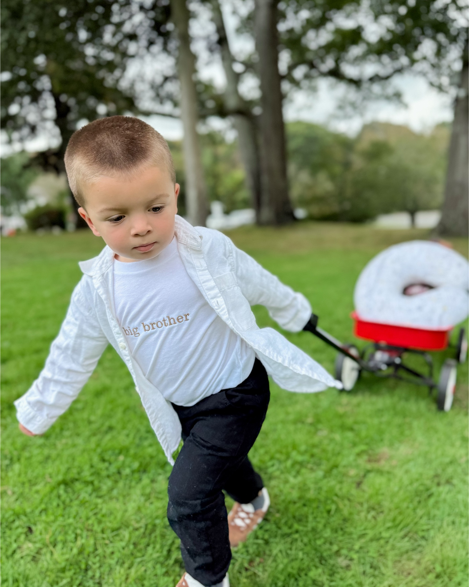 Big brother gear 🧸

#LTKBaby #LTKGiftGuide #LTKKids