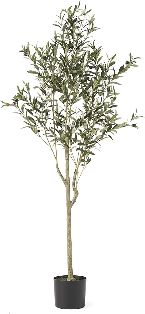 Christopher Knight Home 313746 Artificial Plants, 5' x 2', Green | Amazon (US)