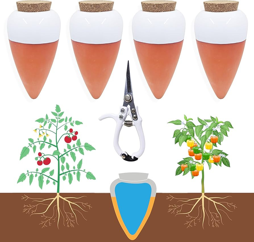 Plant Watering Globes - Terracotta Watering Spikes - Slow Release Olla Watering Pots - Holds 16 o... | Amazon (US)