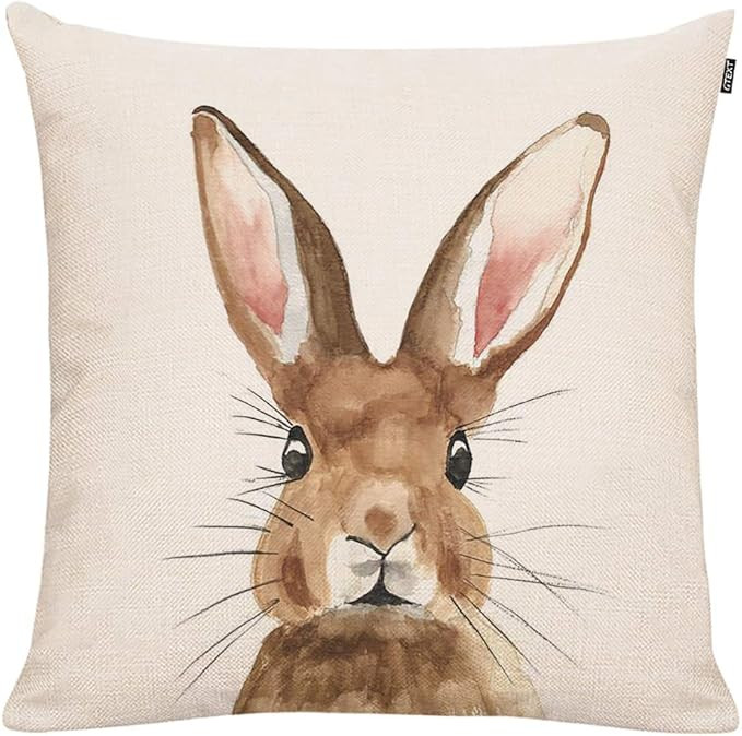 GTEXT Easter Rabbit Throw Pillow Case Cushion Cover Spring Home Decoration Cotton Linen 18 x 18 I... | Amazon (US)