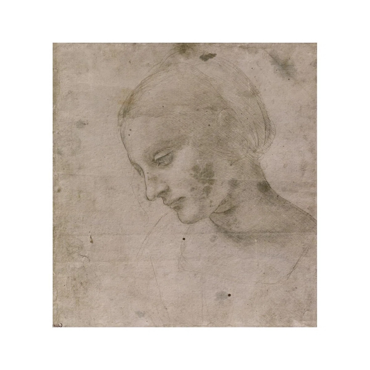 Head of a Young Woman or Head of the Virgin by Leonardo da Vinci - Giclee Print | Wayfair North America