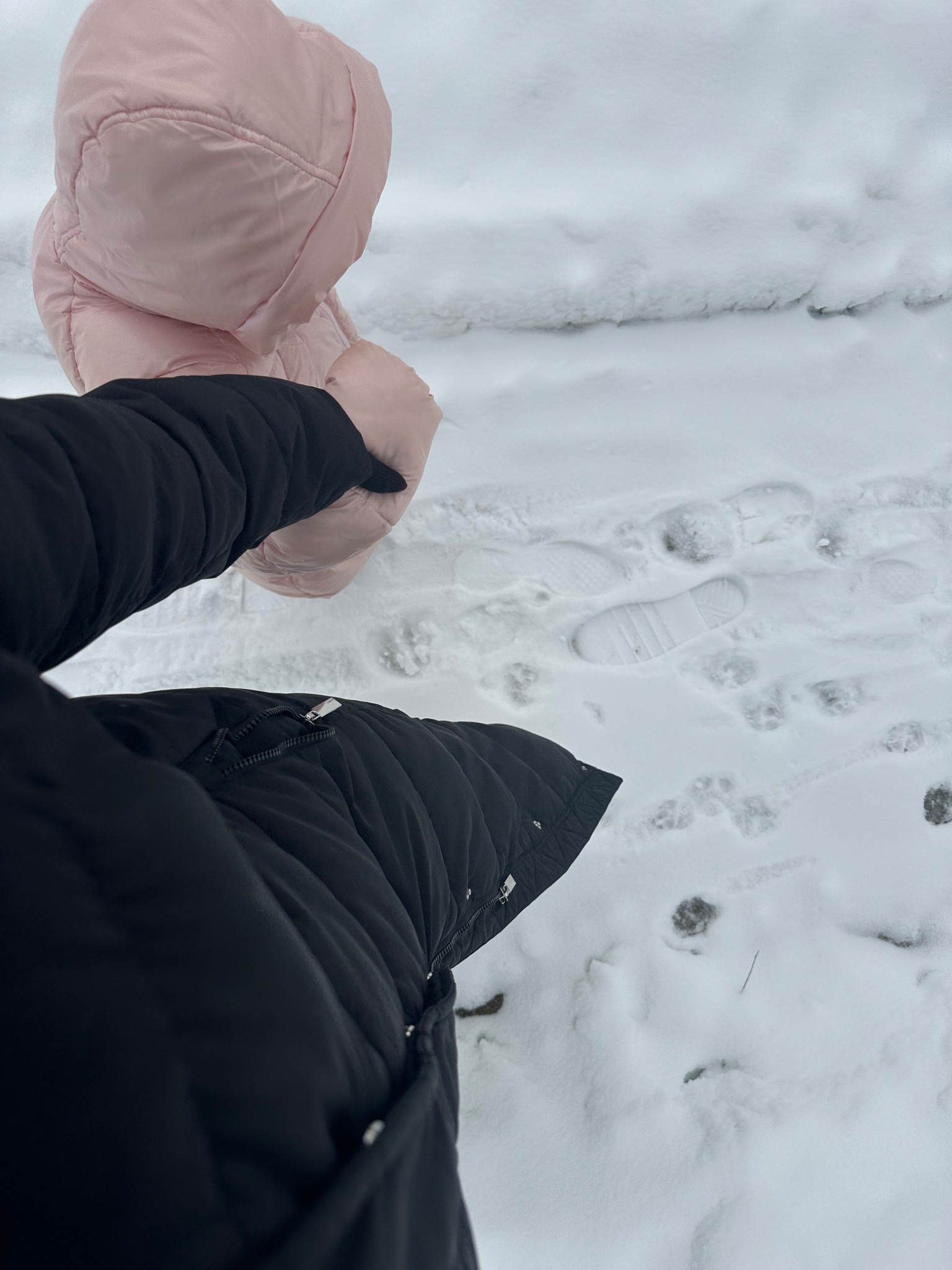 Snowy Strolls ❄️ 

#LTKmomlife #LTKActive #LTKselfcare