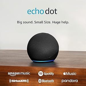 Echo Dot (5th Gen, 2022 release) | With bigger vibrant sound, helpful routines and Alexa | Charco... | Amazon (US)