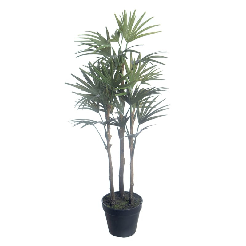 Outdoor Rated Potted Fan Palm, 25" | At Home